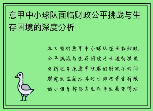 意甲中小球队面临财政公平挑战与生存困境的深度分析