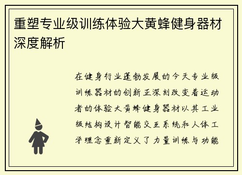 重塑专业级训练体验大黄蜂健身器材深度解析
