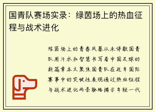 国青队赛场实录：绿茵场上的热血征程与战术进化
